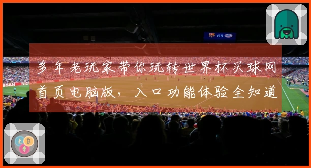 多年老玩家带你玩转世界杯买球网首页电脑版，入口功能体验全知道