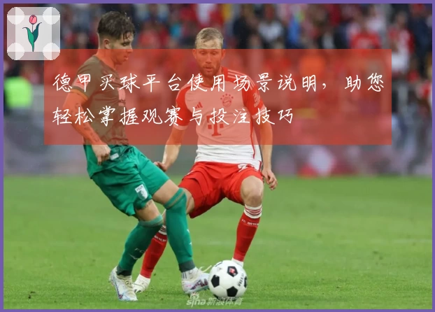 德甲买球平台使用场景说明，助您轻松掌握观赛与投注技巧