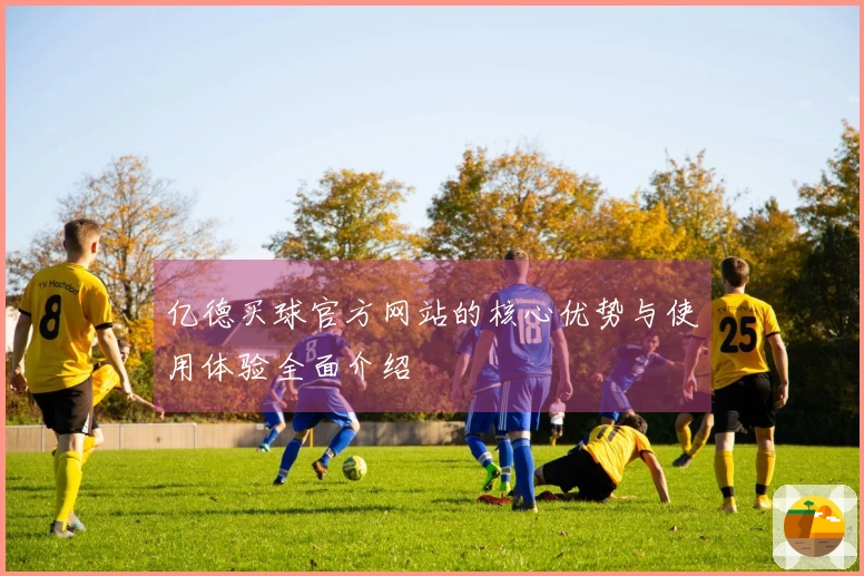 亿德买球官方网站的核心优势与使用体验全面介绍