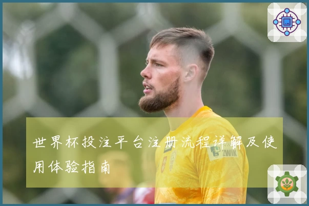世界杯投注平台注册流程详解及使用体验指南