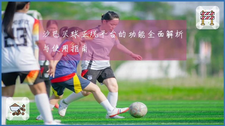沙巴买球正规平台的功能全面解析与使用指南