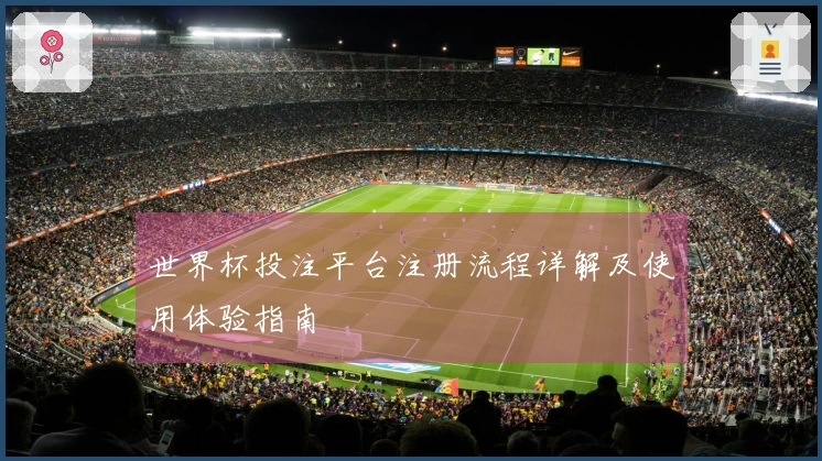 世界杯投注平台注册流程详解及使用体验指南