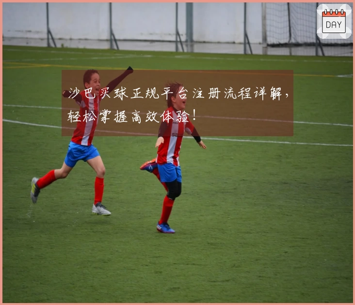 沙巴买球正规平台注册流程详解，轻松掌握高效体验！