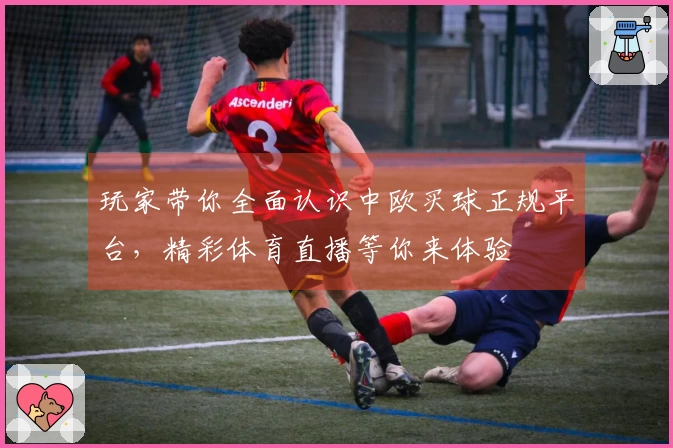 玩家带你全面认识中欧买球正规平台，精彩体育直播等你来体验