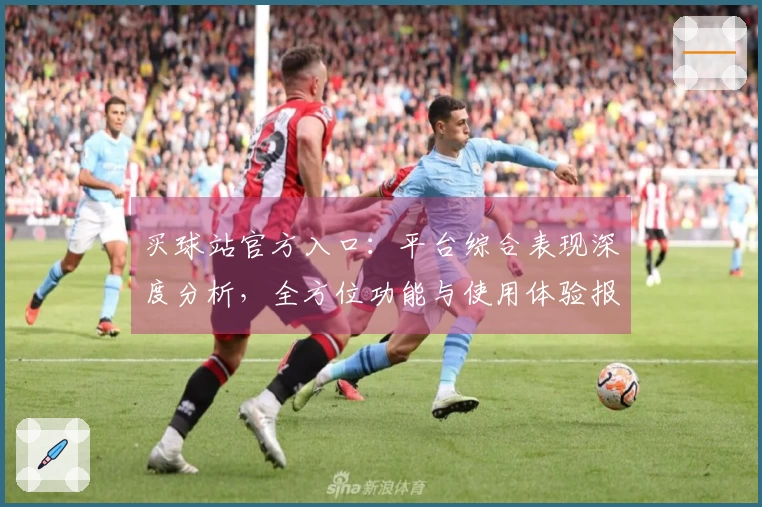 买球站官方入口：平台综合表现深度分析，全方位功能与使用体验报告